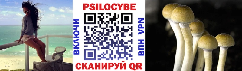 Галлюциногенные грибы Cubensis Баксан